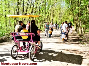 Montceau-les-Mines : Consultation – location de rosalies