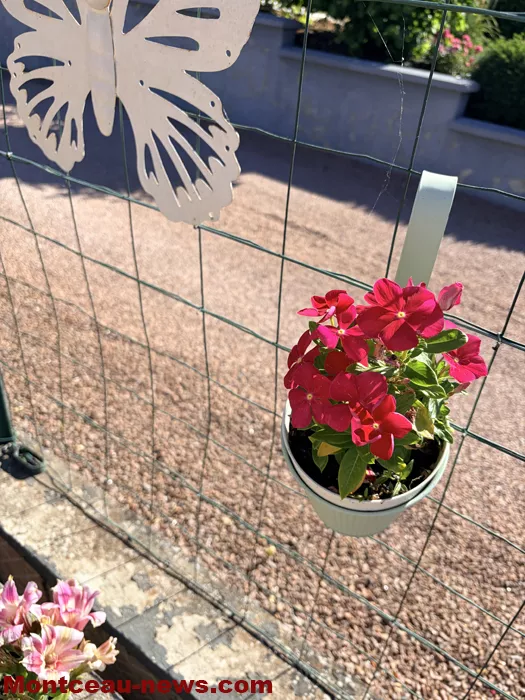 maison fleuris-09072631
