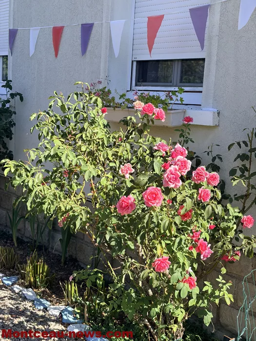 maison fleuris-09072654