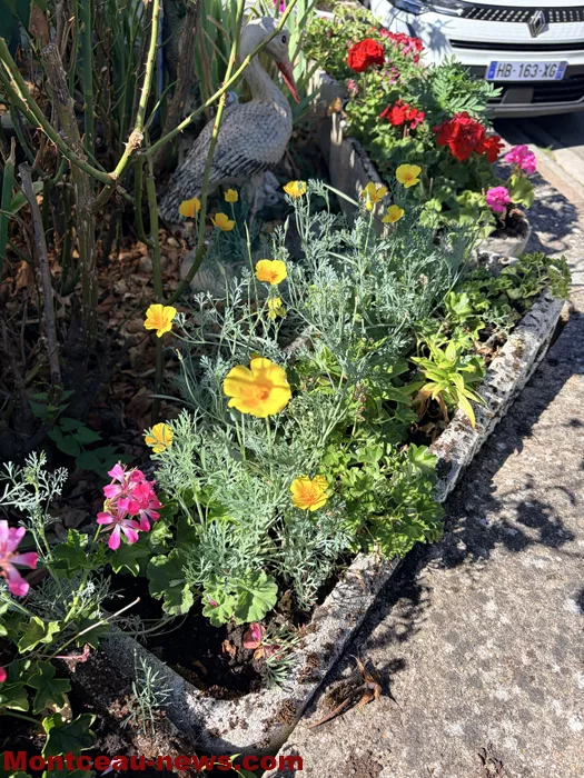 maison fleuris-09072682