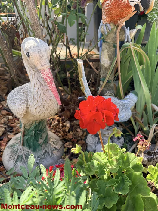 maison fleuris-09072683