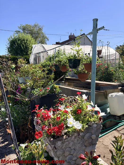 maison fleuris-09072687