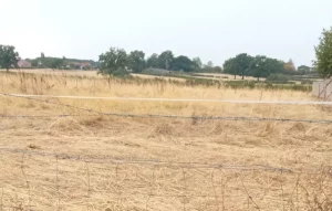 Face au risque d’incendie