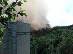 Feu de forêt au Creusot : plus de 80 pompiers mobilisés, les habitations préservées