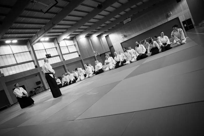 aikido-2608265