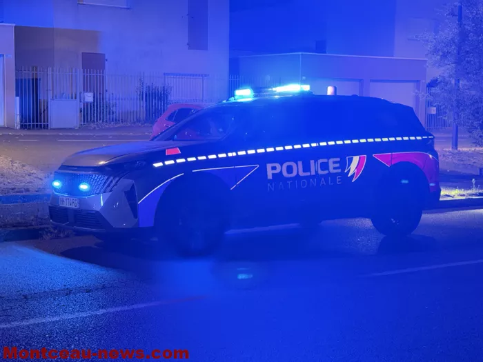 feu-plessis-1308269