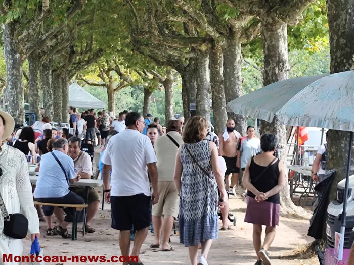 pcf-vide-grenier-17082659