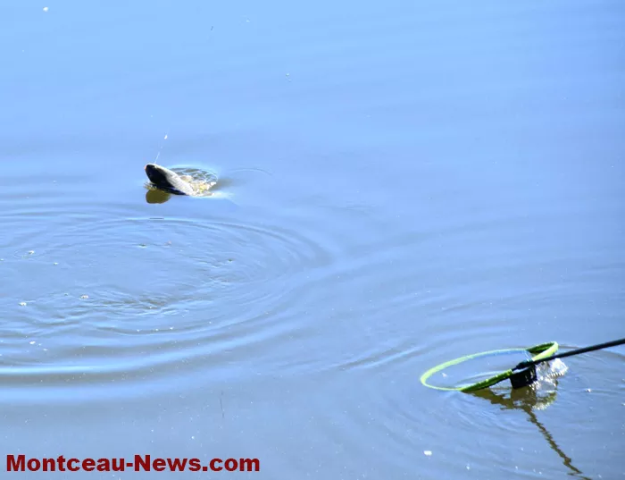 peche-samedi-0908269