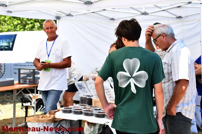 peche-vendredi-08082620