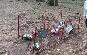 Perrecy-les-Forges : La tombe de l’Homme mort, une légende qui revit