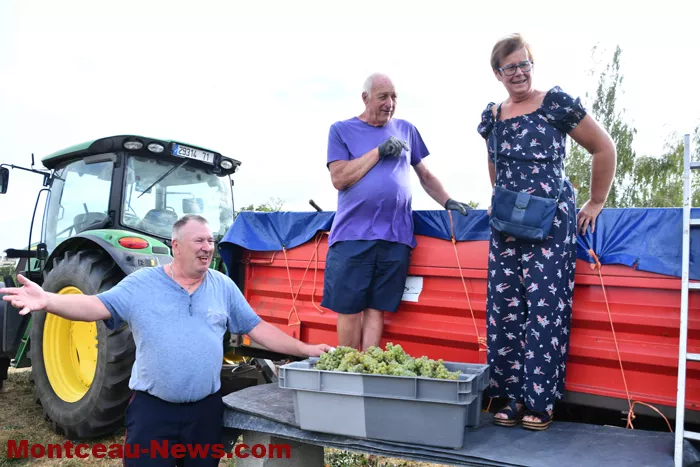 vendanges-sanvignes-31082612