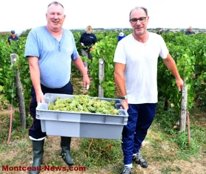 Sanvignes – Il est temps de vendanger !