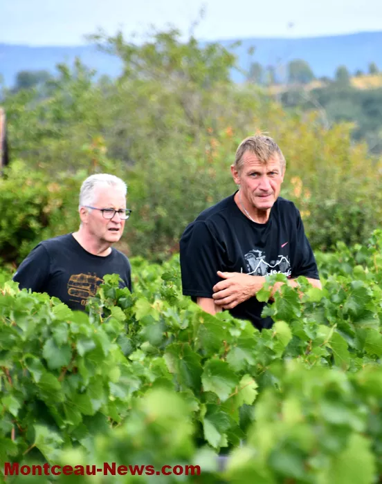vignes-sanvignes-3108262