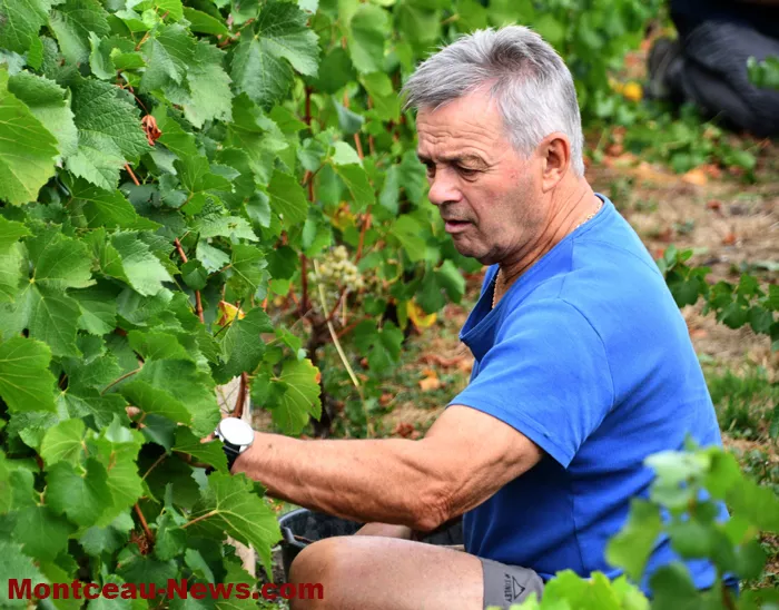 vignes-sanvignes-3108263