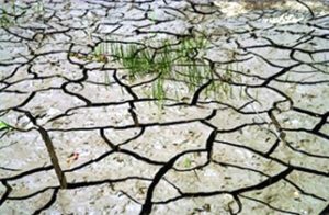 Plan CASI (Climat, Adaptation, Sécheresse, Incendies)
