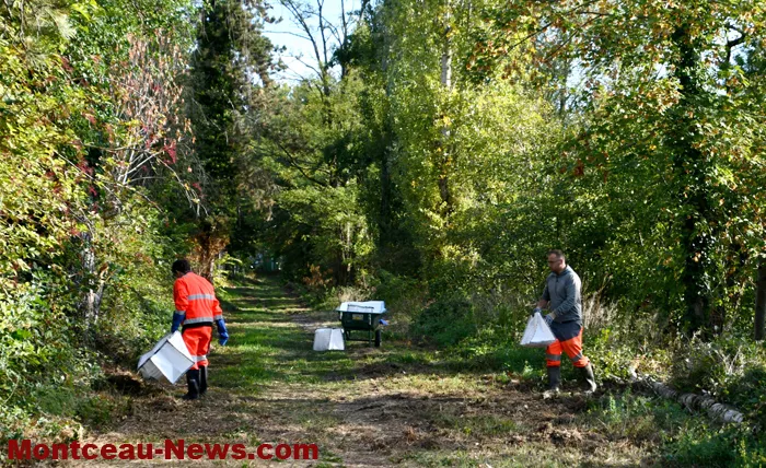bam-montceau-26092615