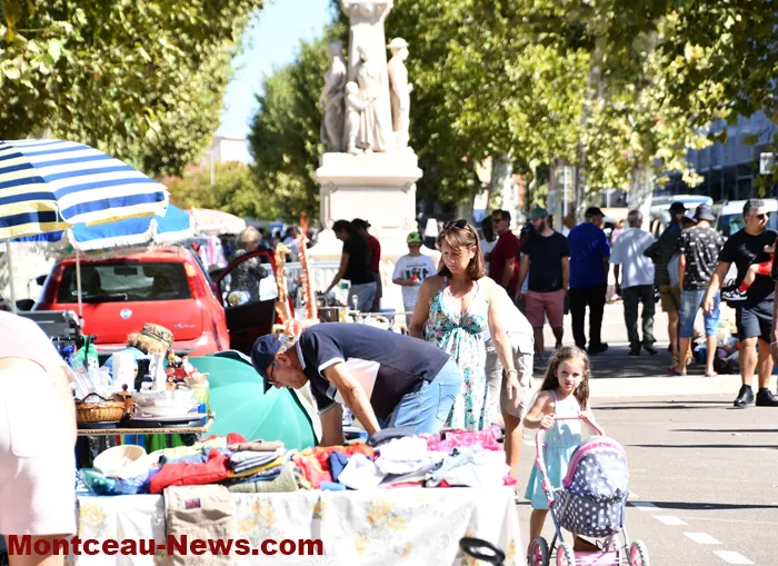 broc-bouquinerie-08092612