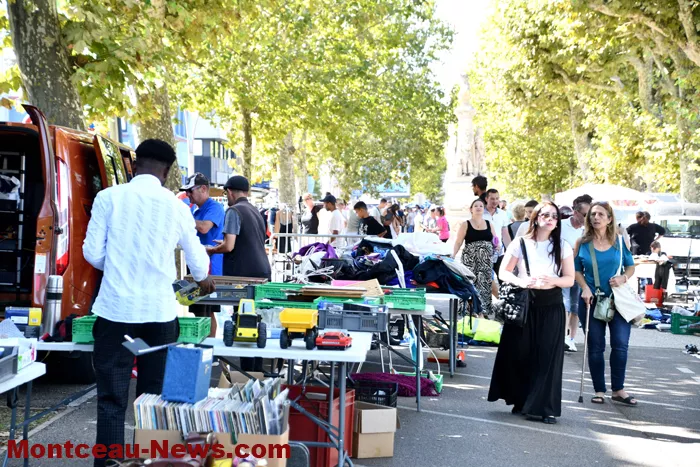 broc-bouquinerie-08092626