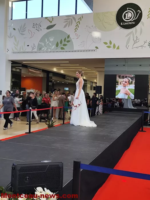 defilee-salon-mariage-26092660