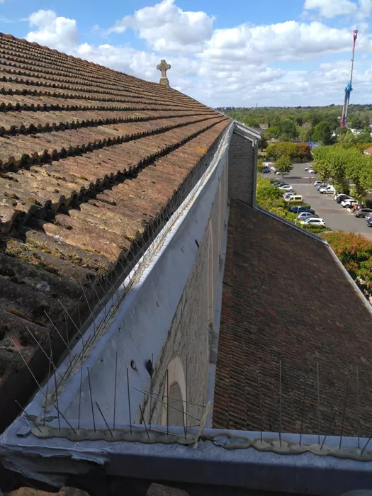 eglise-montceau-0509261