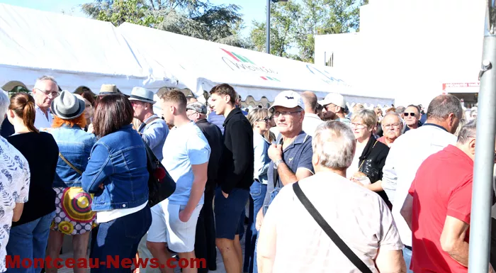 foire-gratton-2709267