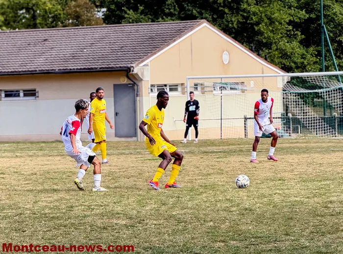 foot-yanis-2809265