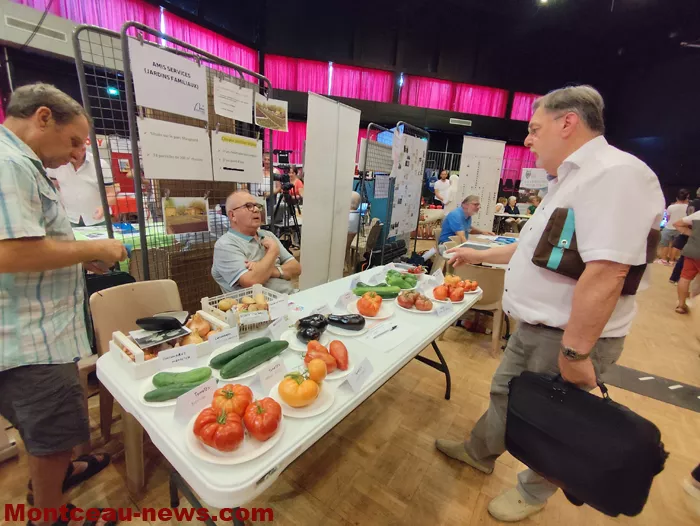 forum-montceau-06092642