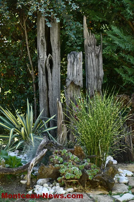 jardin-jlp-20092618