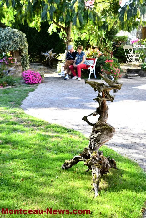 jardin-jlp-2009263