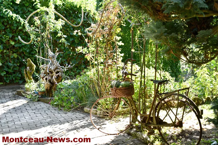 jardin-jlp-2009266