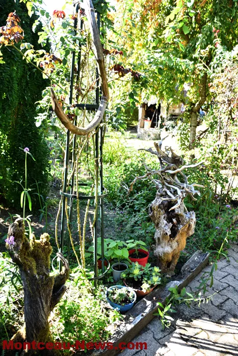 jardin-jlp-2009269
