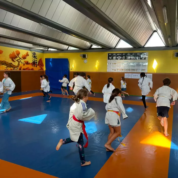 judo-2908263