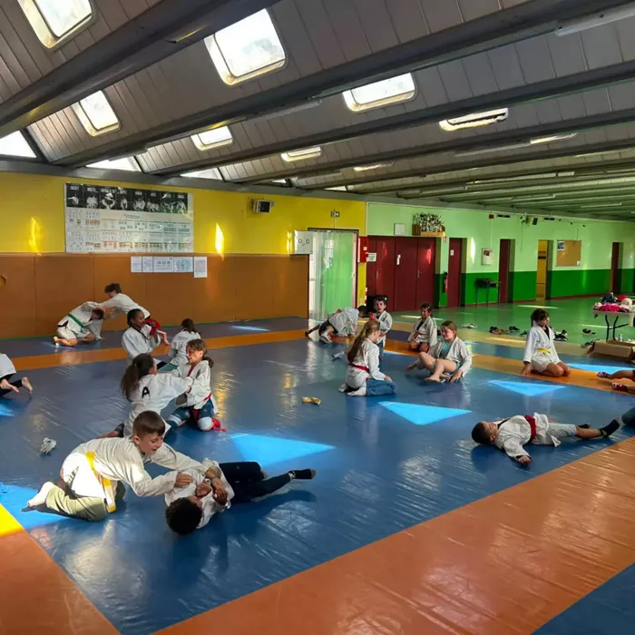 judo-2908264