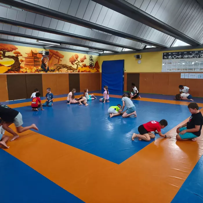 judo-2908265