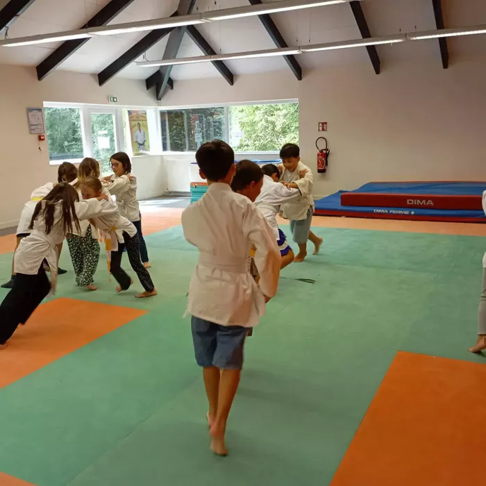 judo-2908269