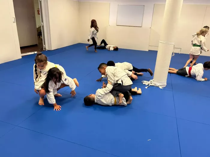 judo-ad-0809262