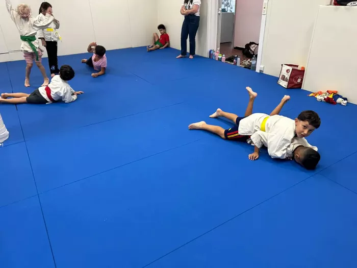 judo-ad-0809263