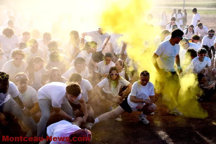 papillon-blanc-24092614