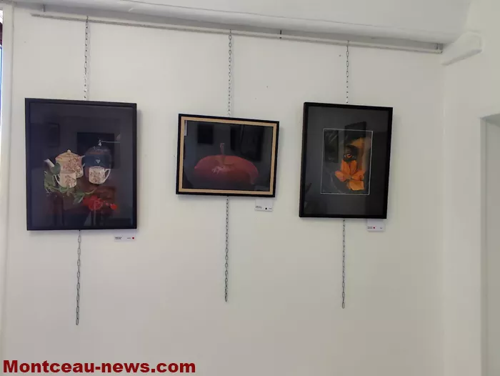 peintre-mt-st-vincent-13092618