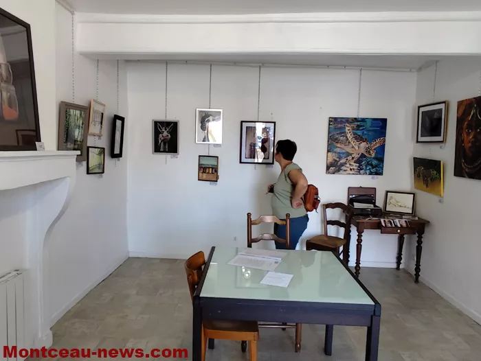 peintre-mt-st-vincent-13092620