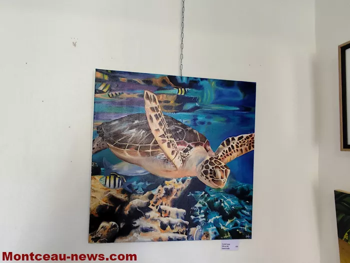 peintre-mt-st-vincent-13092622
