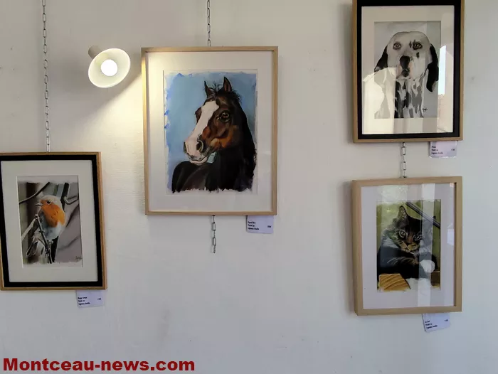 peintre-mt-st-vincent-13092625