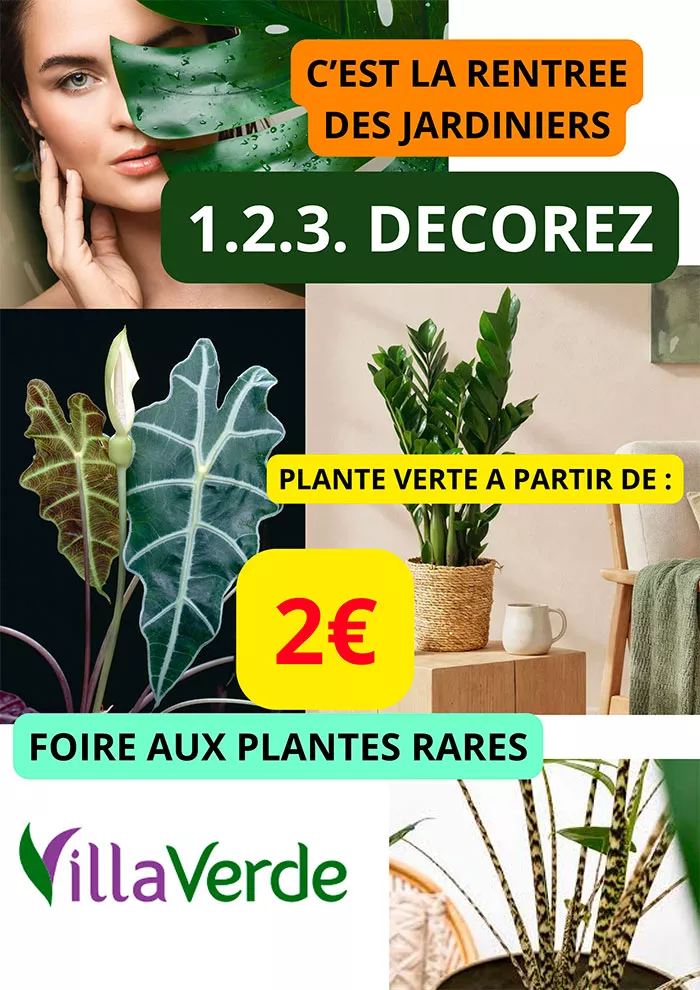 villaverde-01092611