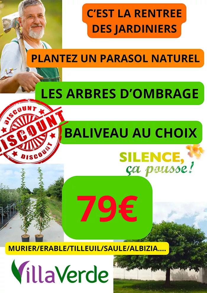 villaverde-0109269