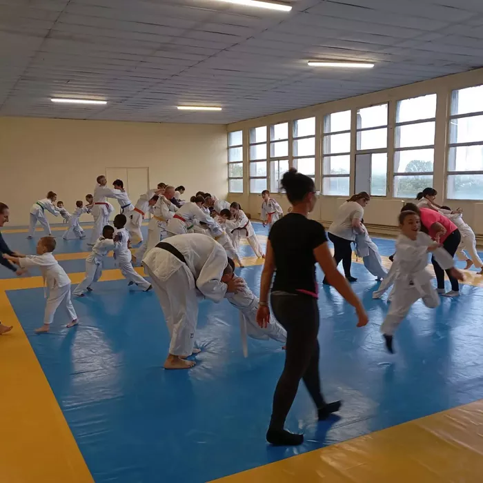 ad-judo-2010262