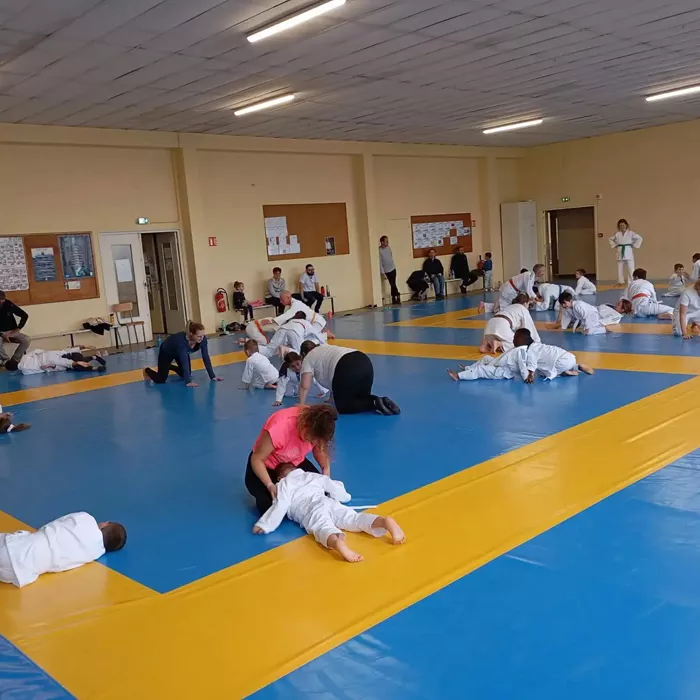 ad-judo-2010263