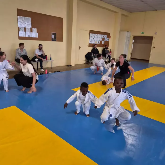 ad-judo-2010266