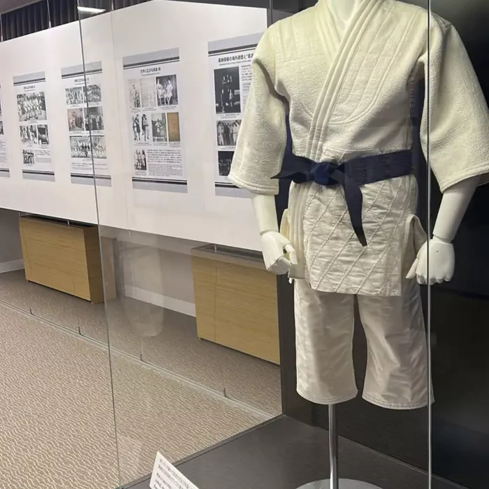 ad-judo-2810265