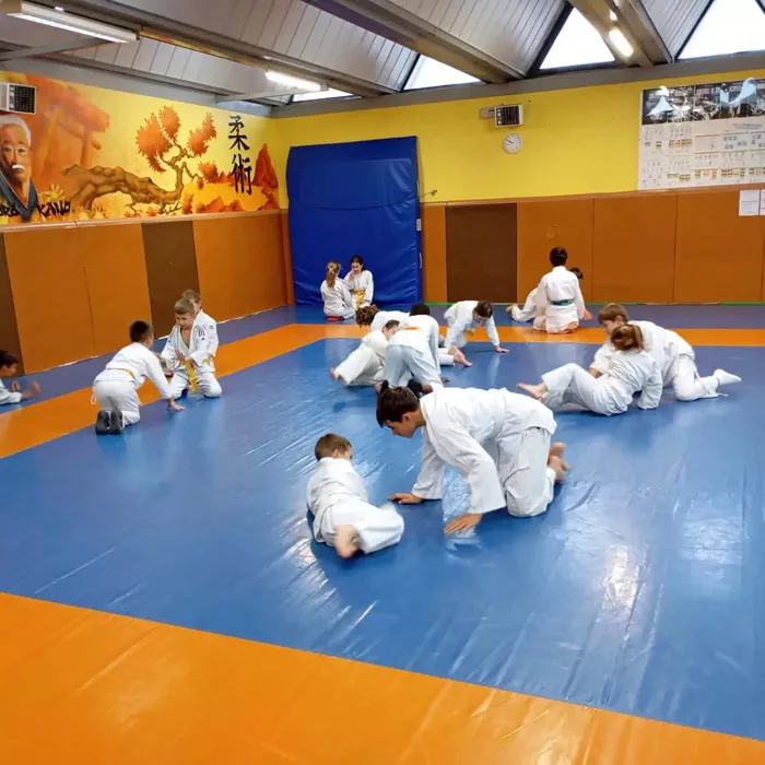 ad-judo-montceau-2310263