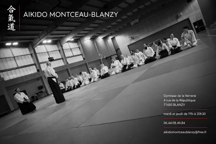 aikido-1510261